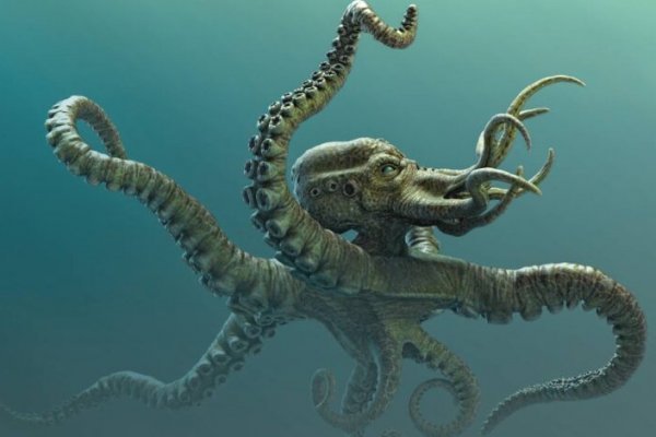 Kraken https